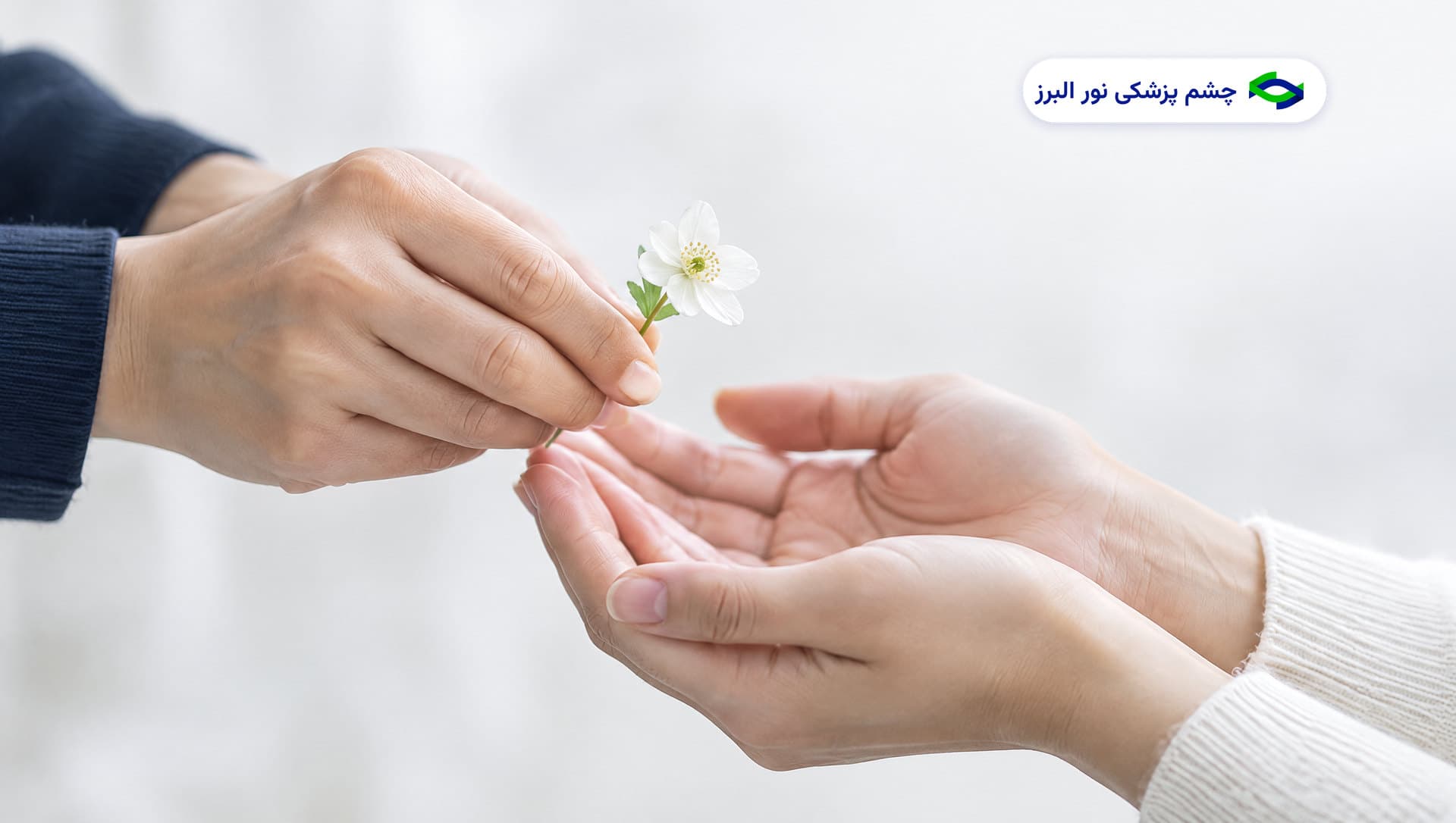پیوند قرنیه: چه زمانی لازم است و چه انتظاری باید داشت